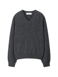 TONYWACK Shaggy Dog V-neck sweater