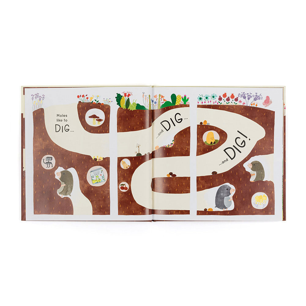 Muswell Mole and the Buried Treasure Book